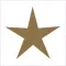 WestStarTN
