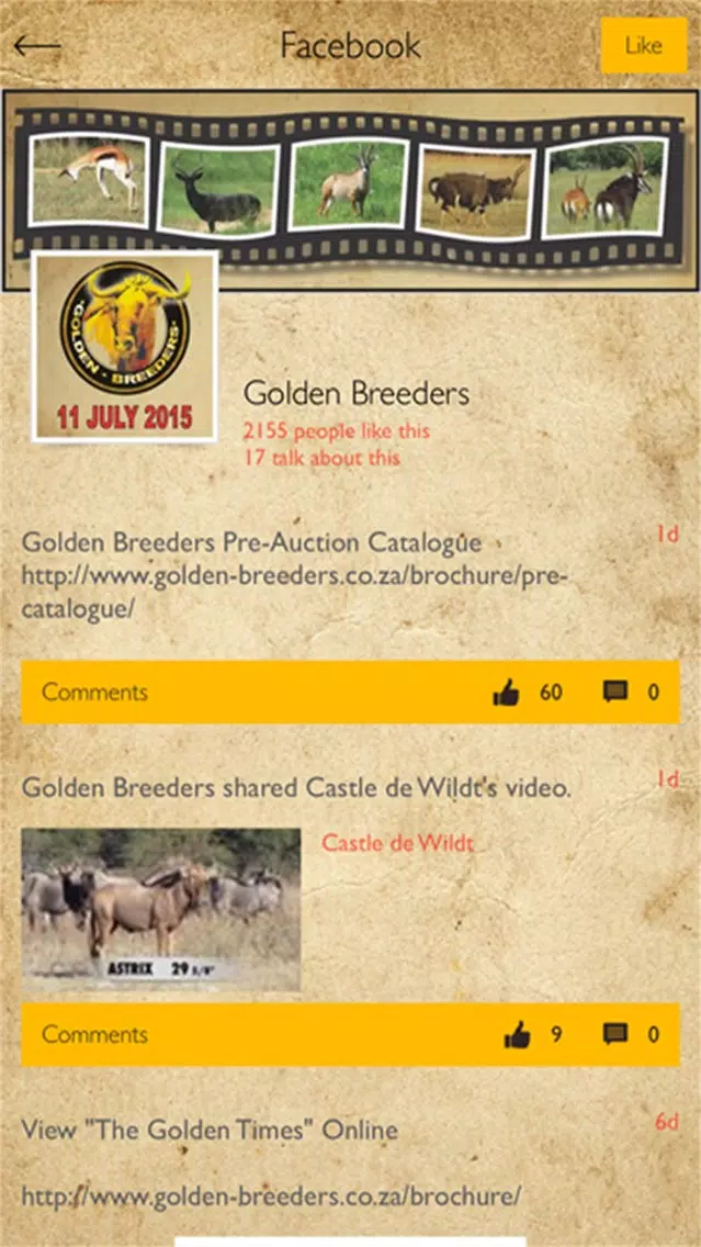 Golden Breeders Screenshots