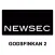 NEWSEC Godsfinkan 2