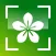Plant Identifier +