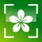Plant Identifier +