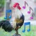 Animal Ringtone