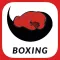 Sweet Science Boxing & Fitness