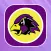 The Hawks App