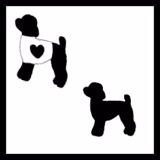 Touch the Silhouette Touch the Silhouette