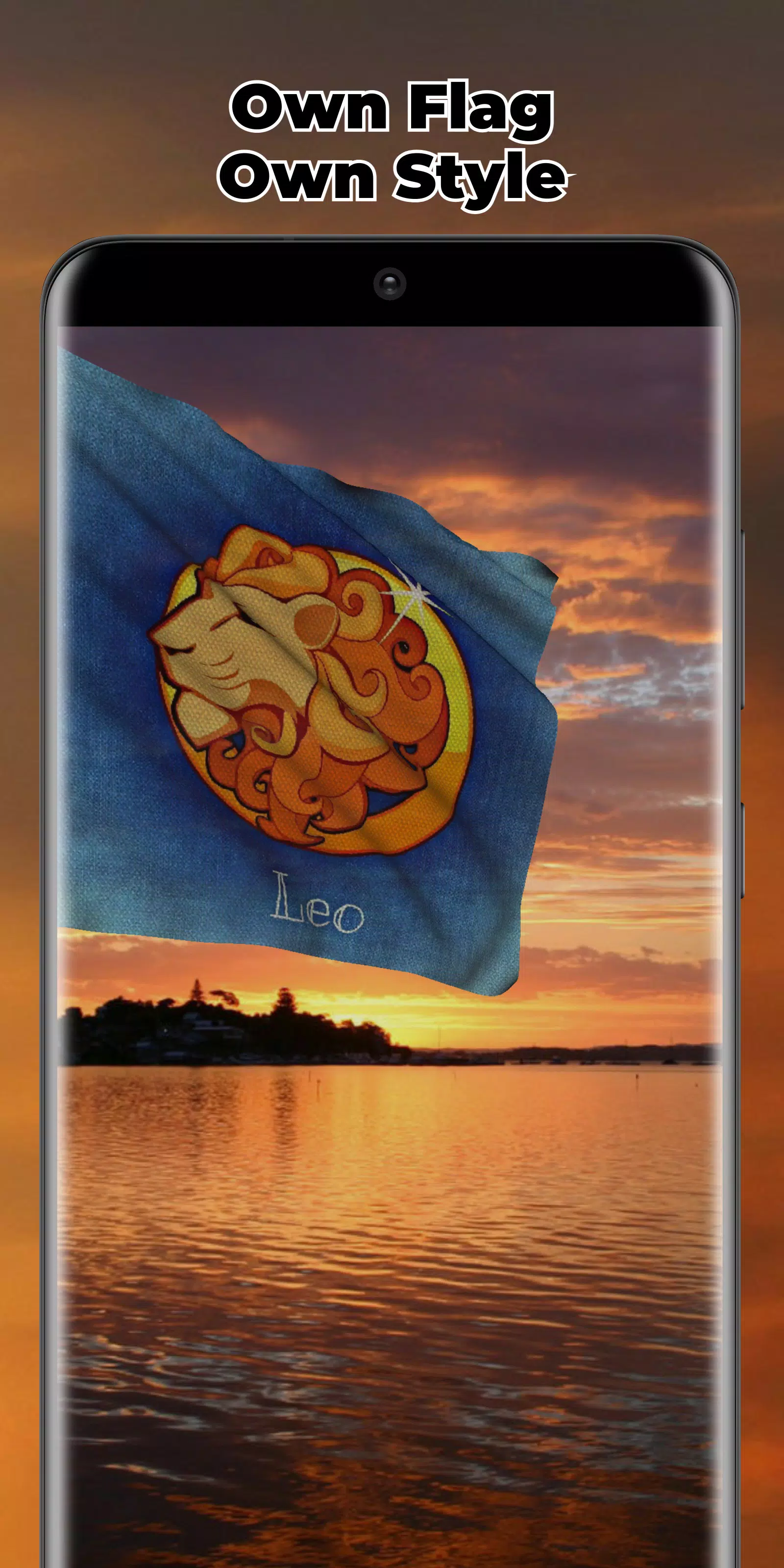 DR Congo Flag Screenshots