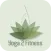 Yoga 2 Fitness