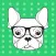 Dog-Face