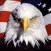 US Constitution.