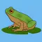 Frog Tantal