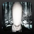 SlenderMan's Forest SlenderMan's Forest