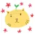 Animated Cat Heads Emoji Sticker Pack for iMessage