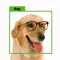 Easy Dataset for CoreML & more