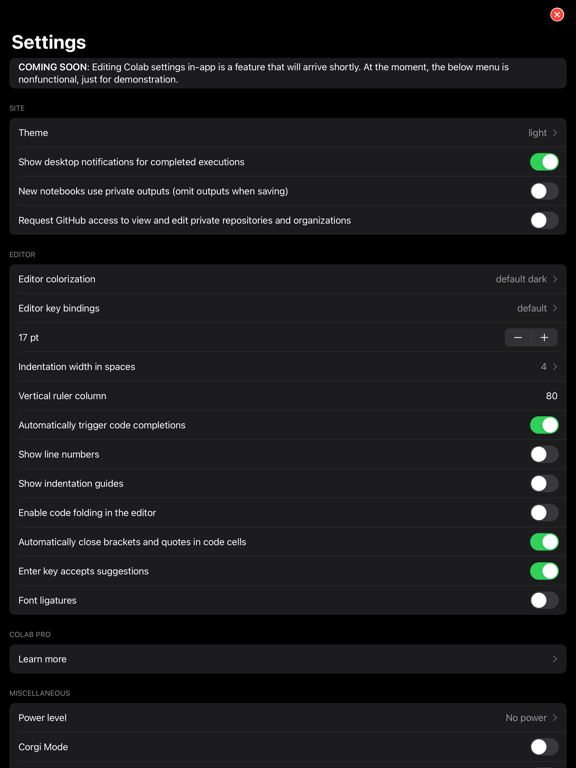 Programming Notebook PRO iPad 应用截图
