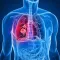 Human Diseases Encyclopedia