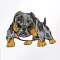 Dogma Bully Dog App