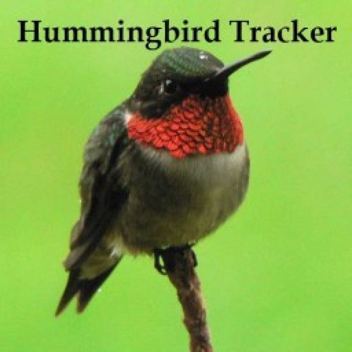 Hummingbird Tracker Hummingbird Tracker