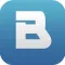 BView