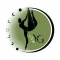 YoGym Studio