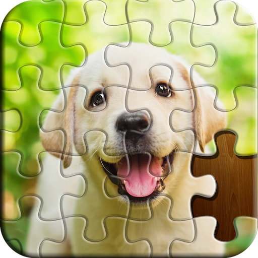 Jigsaw Puzzle Jigsaw Puzzle