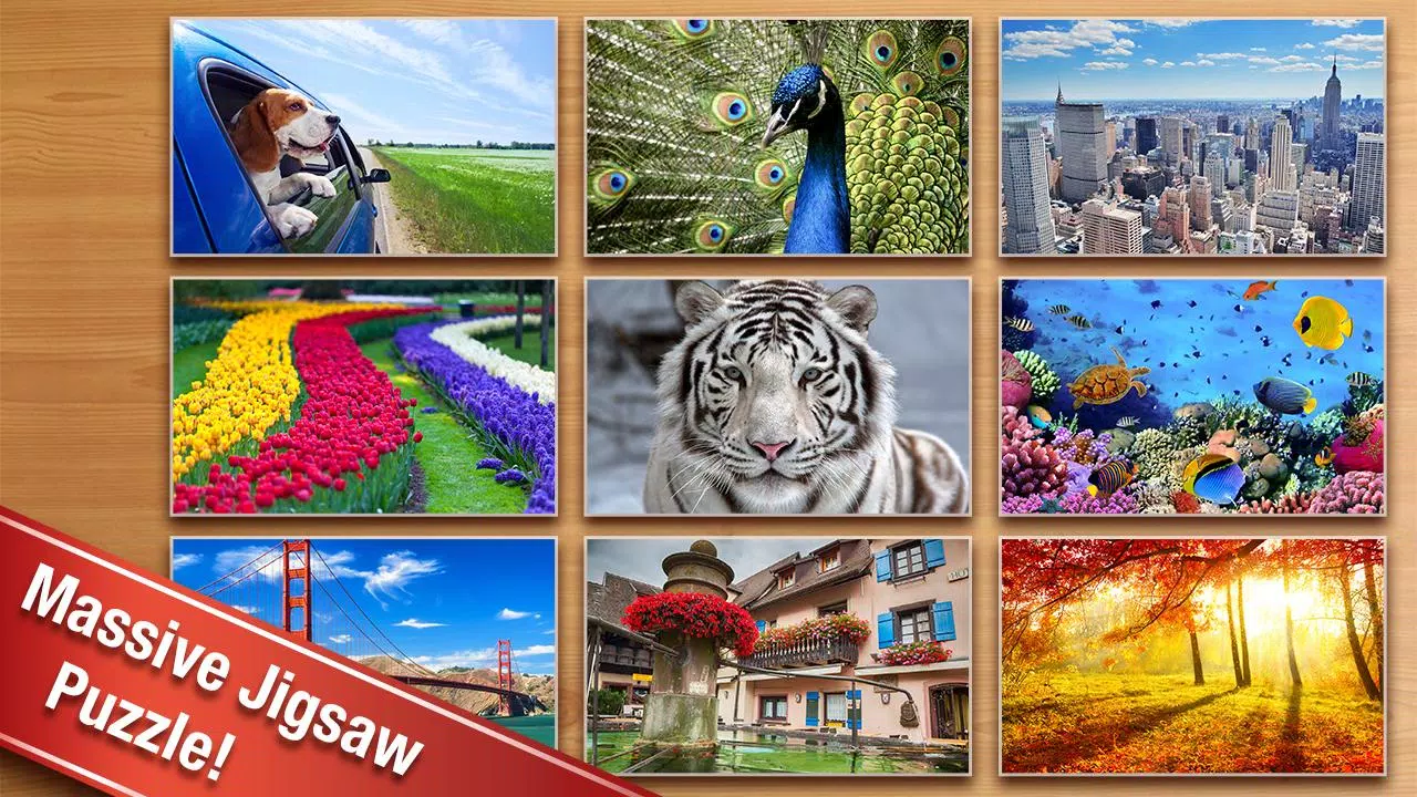 Jigsaw Puzzle Screenshots