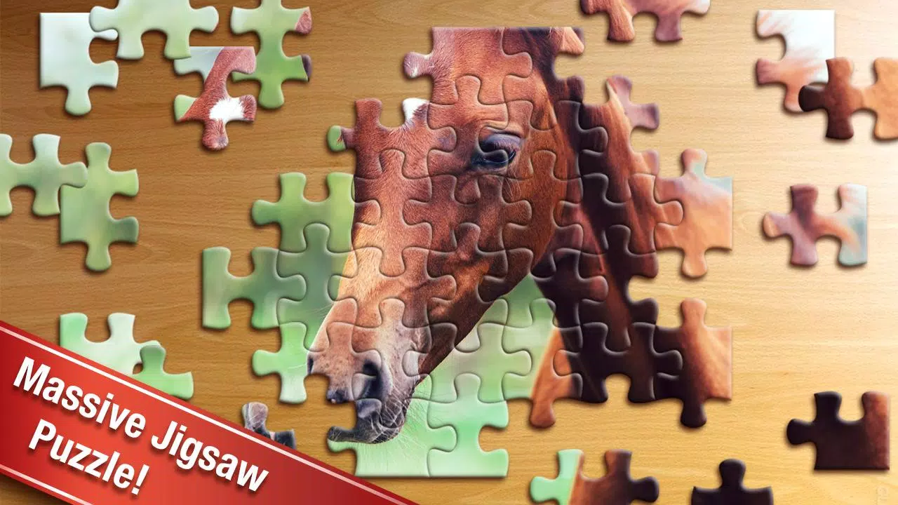 Jigsaw Puzzle Screenshots