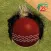 T20 Fever
