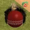 T20 Fever