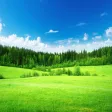 ecoservice ecoservice