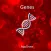 Blood Group Genes
