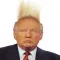 Blow Trump