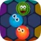 Hex Puzzle Blocks : Skill Game