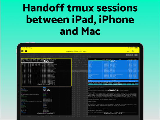 SSH Files – Secure ShellFish iPad Screenshots