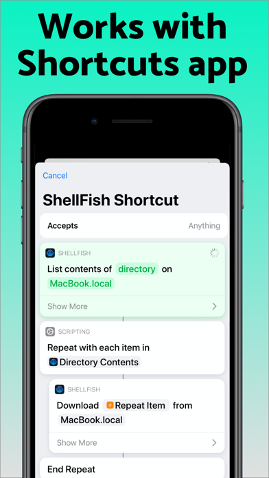 SSH Files – Secure ShellFish Screenshots