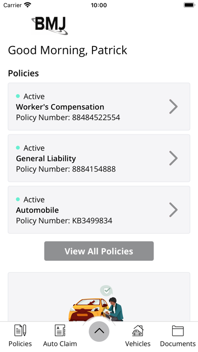 Brown-McNerney-Johnson Online Screenshots