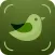 Bird Song Identifier USA