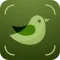 Bird Song Identifier USA