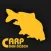 Carp Den Bosch