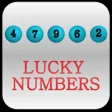 Lucky Lottery Numbers