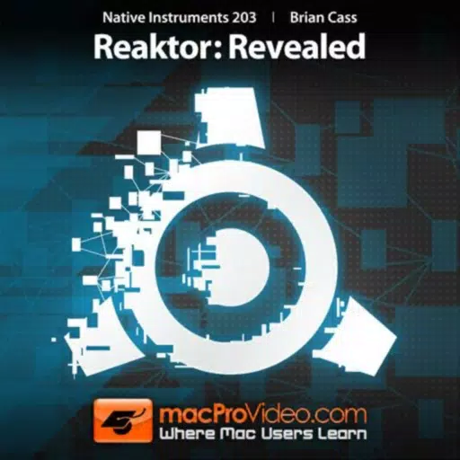 Revealed Course For Reaktor