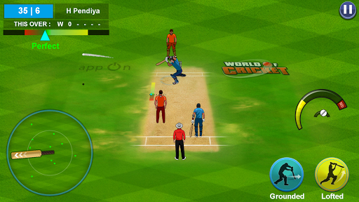 World of Cricket :Championship Screenshots