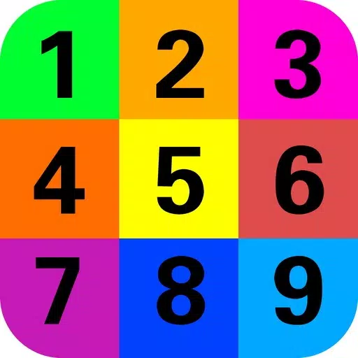 Digital Puzzle Digital Puzzle