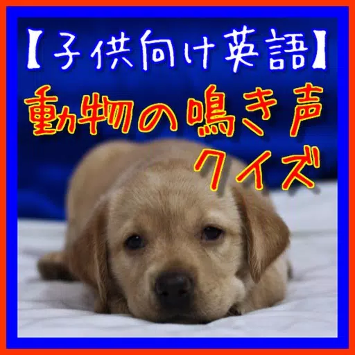 【キッズ英語】動物の鳴き声クイズ~親子で楽しむアプリ~ 【キッズ英語】動物の鳴き声クイズ~親子で楽しむアプリ~