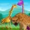 Animal Names in English
