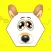 Fun Face - Filters Effects Photo Editor