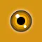 Lock Widget LivePic It LiveIn