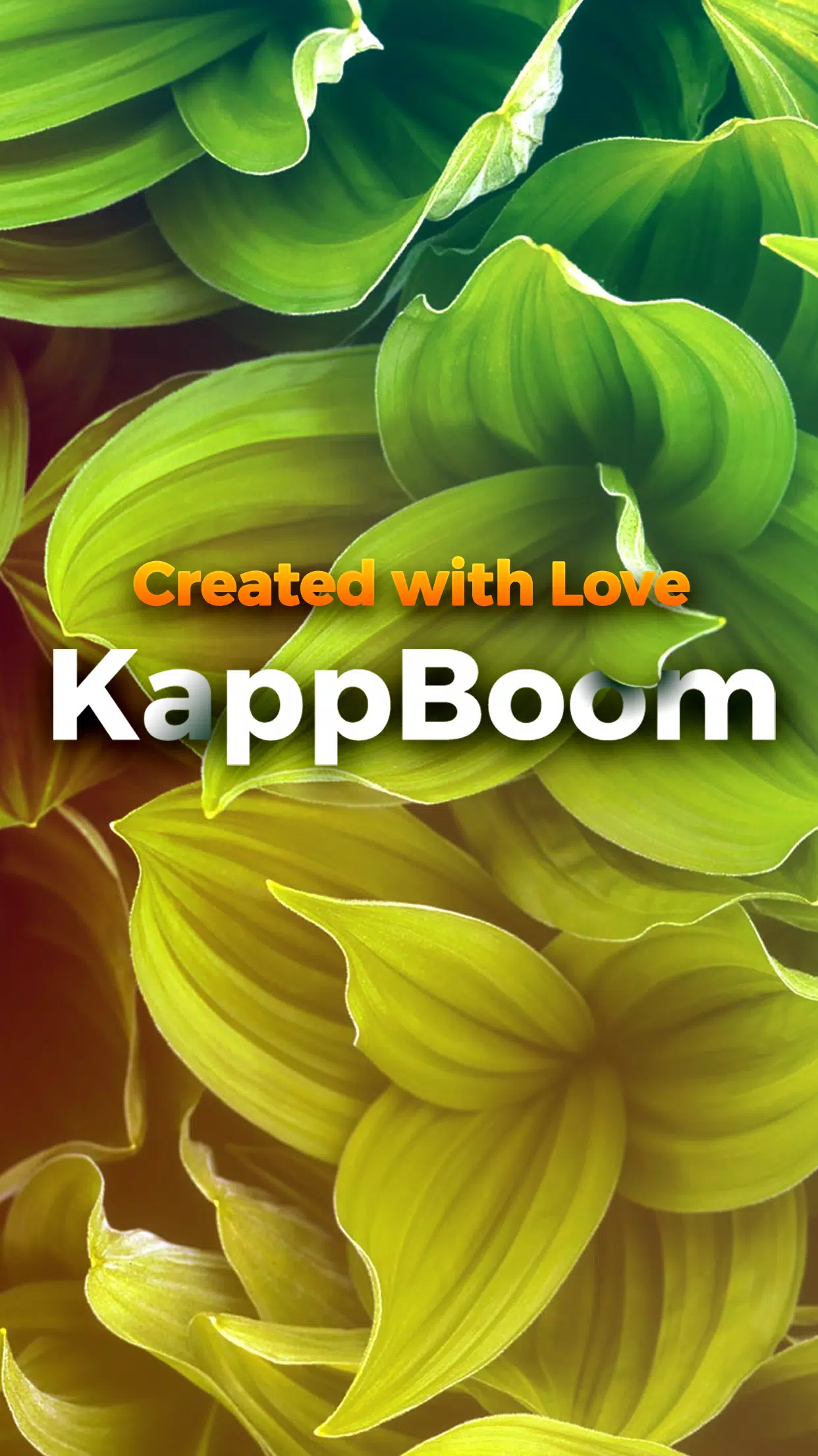 Kappboom - Cool Wallpapers & B Screenshots
