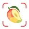 Calorie Counter - Meal Tracker