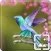 Birds Wallpapers Hd
