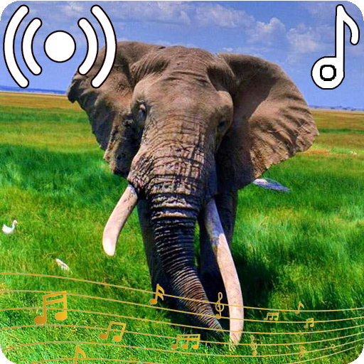 Elephant Sounds Ringtone